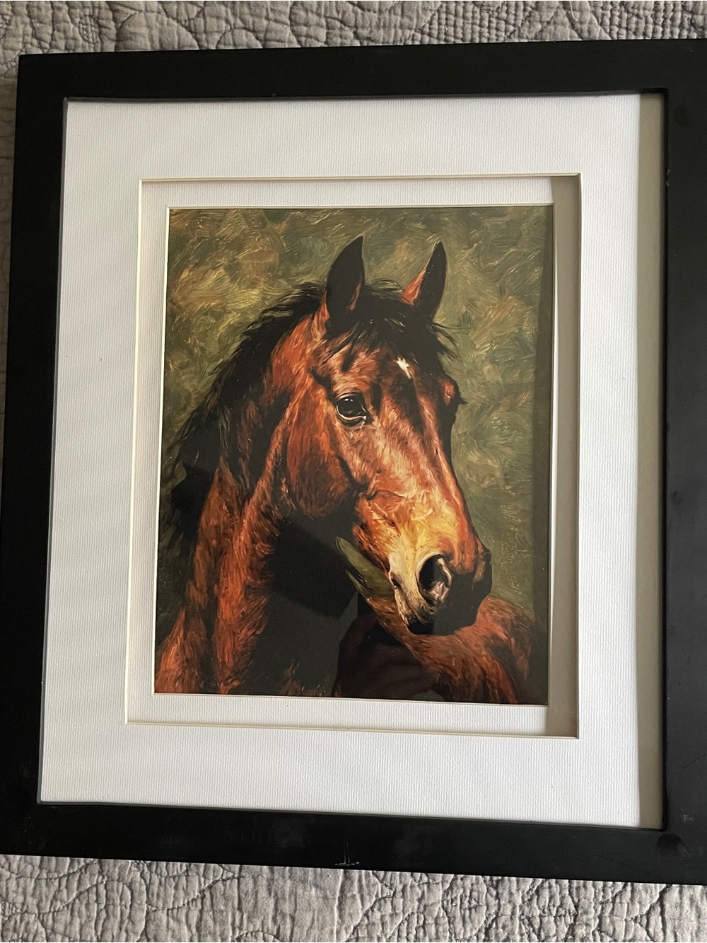 Framed Brown Horse Portrait Art Print - Classic Equestrian Wall Art